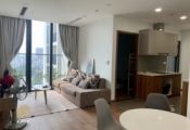 Eco Green apartment for rent in District 7 has 2 bedrooms, fully furnished