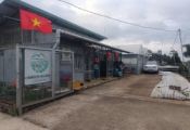 Land for sale 1.5ha Di Linh, Lam Dong has 3 facades, on the land there are coffee and durian