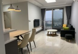 Apartment for rent Midtown Phu My Hung in District 7