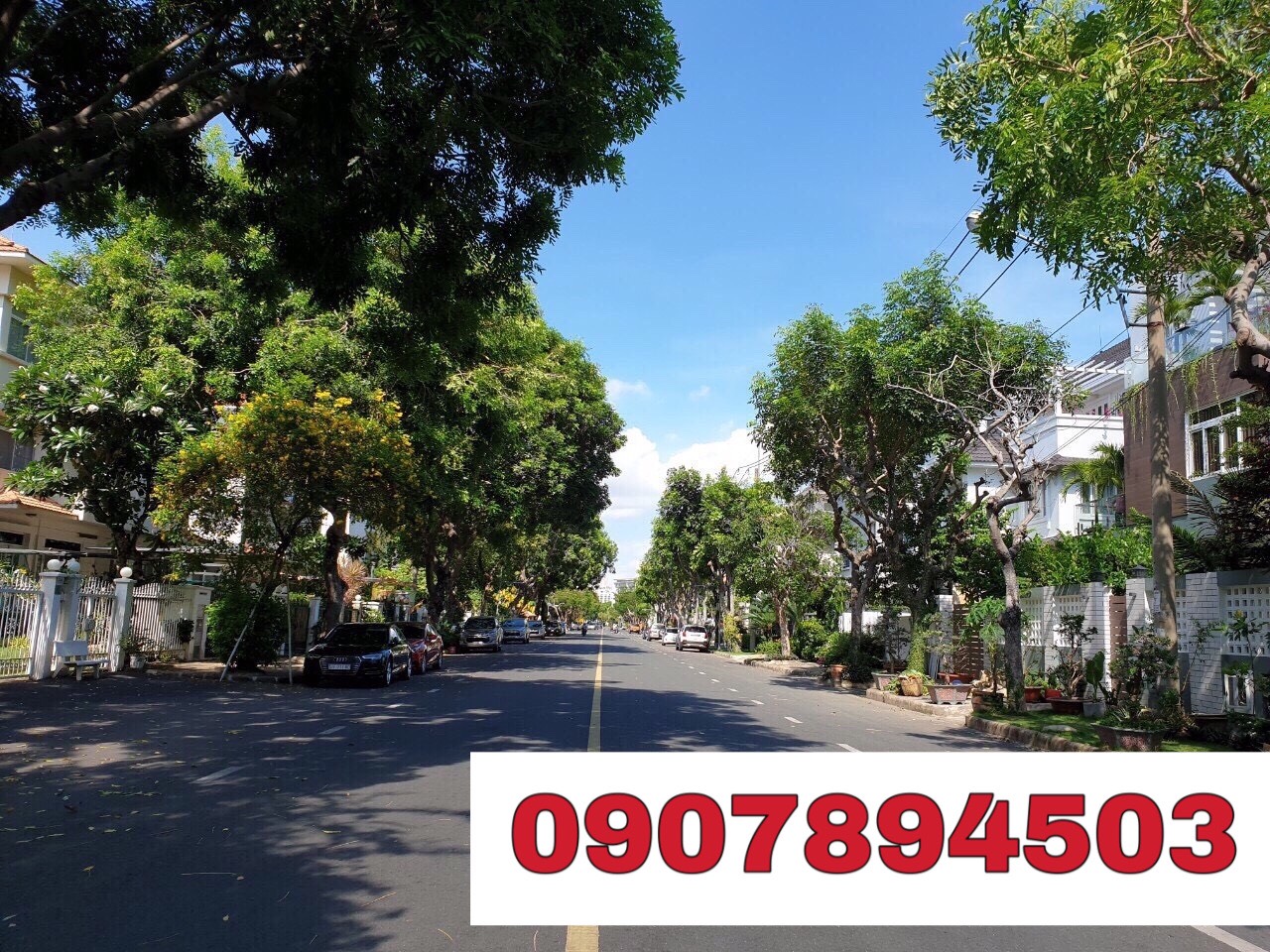 Nam Quang  villa for sale in Phu My Hung- District 7