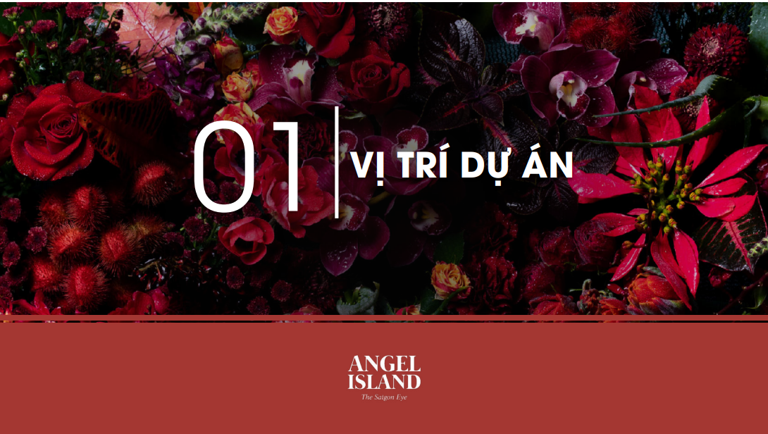 DỰ ÁN ANGEL ISLAND 20