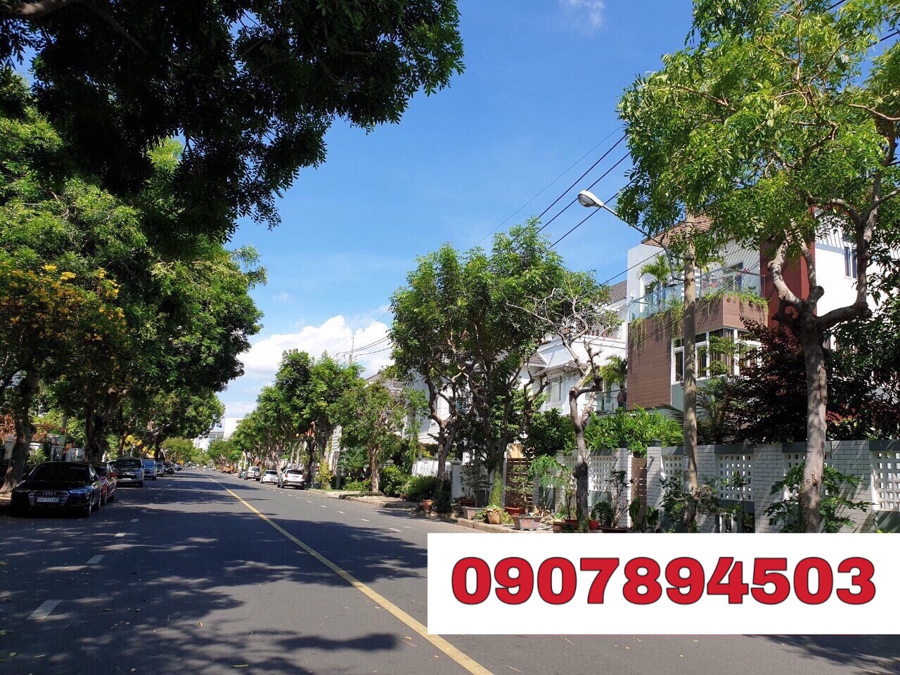 Nam Quang  villa for sale in Phu My Hung- District 7 3