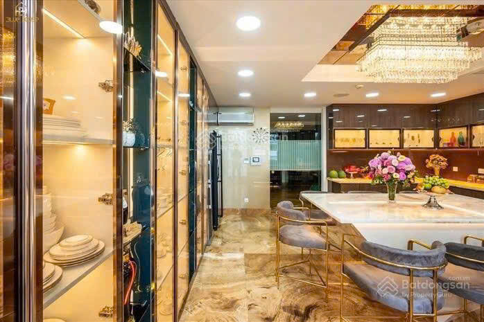 Singer Dam Vinh Hung villa for sale, Bac Hai residence, District 10, VIP area 2, 6-storey façade, swimming pool – 378.06m2 4
