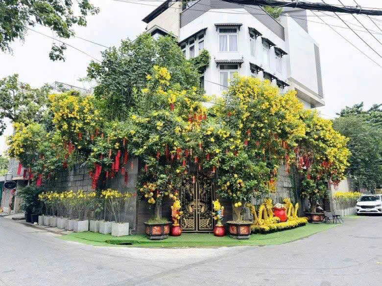 Singer Dam Vinh Hung villa for sale, Bac Hai residence, District 10, VIP area 2, 6-storey façade, swimming pool – 378.06m2