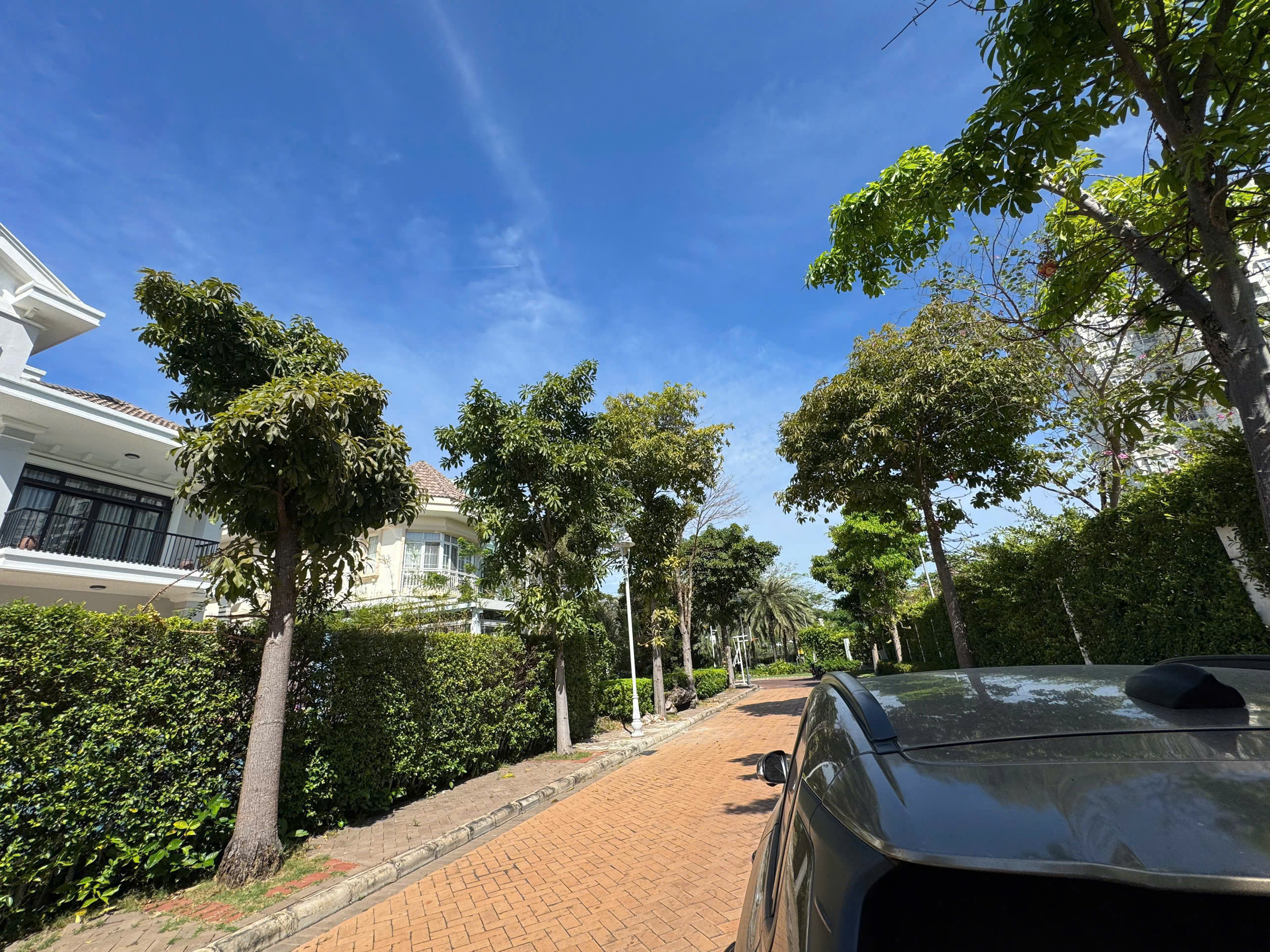 Bán hoặc cho thuê biệt thự đơn lập Chateau 4 Phú Mỹ Hưng, Quận 7 xây 5 tầng có hồ bơi – 580m2 11