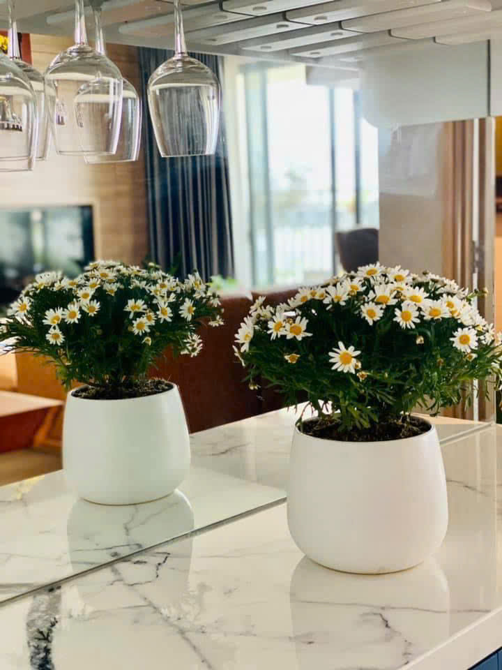 The View Riviera Point apartment for sale in District 7 with 3 bedrooms, Southeast view, middle floor – 125m2 9