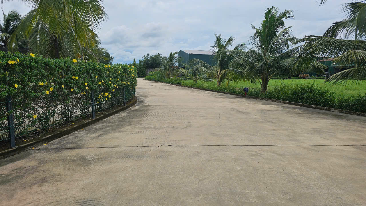 Cho thuê kho khu vực Bến Lức Long An có bình điện, phòng cháy chữa cháy tới vách tường – 2400m2 2