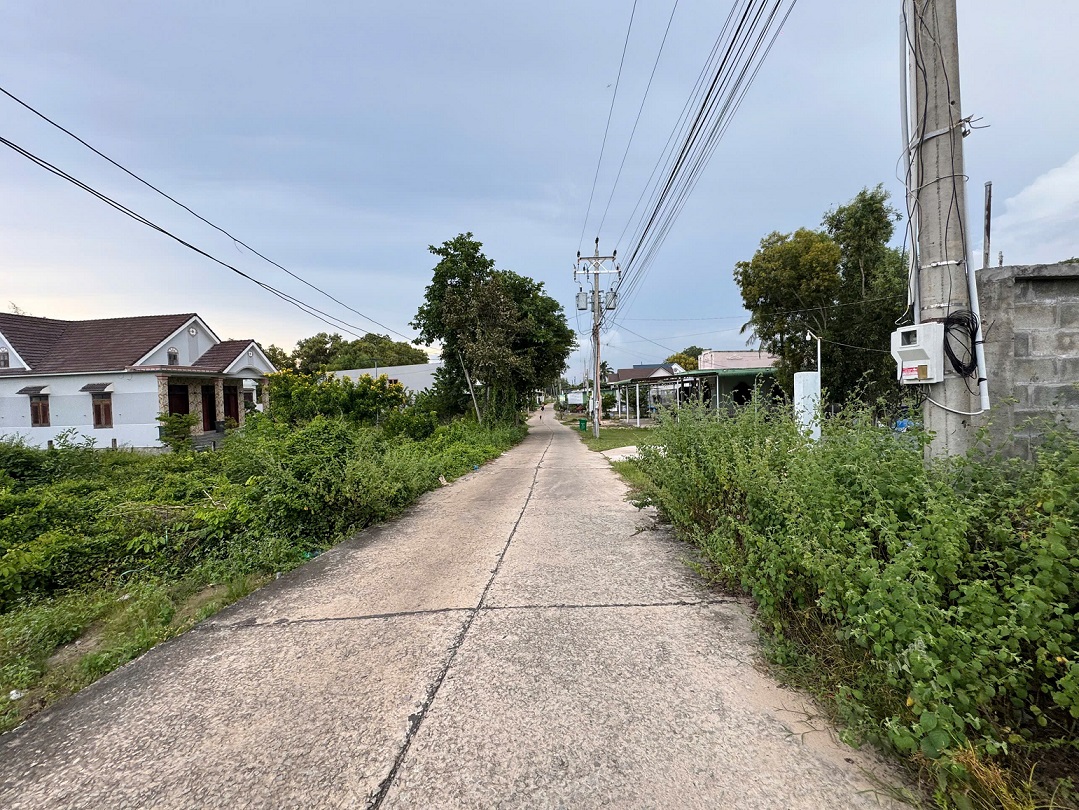 House for sale on street No. 18 Ham Tan, Lam Dong near the sea of land for planting perennial trees with 300m2 of soil – 2100m2 9