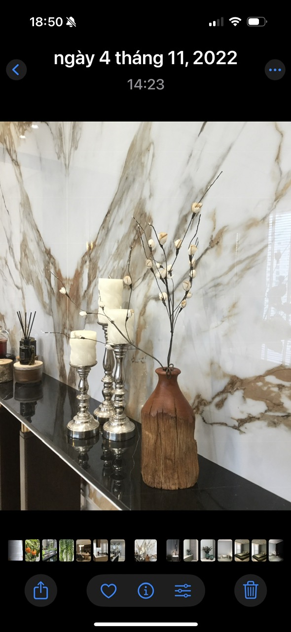 Penthouse for rent at The Ascentia Phu My Hung, District 7 with 4 bedrooms European furniture – 240m2 9