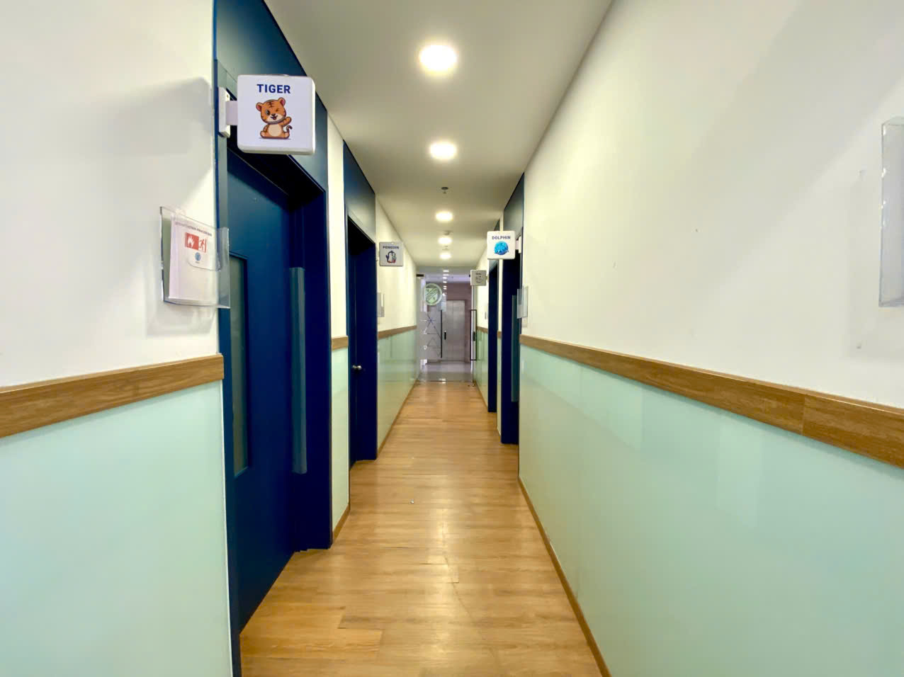 Cho thuê tòa nhà mặt tiền đường Tân Phú, Nam Thông Phú Mỹ Hưng, Quận 7 xây 8 tầng có thang máy – 324 5