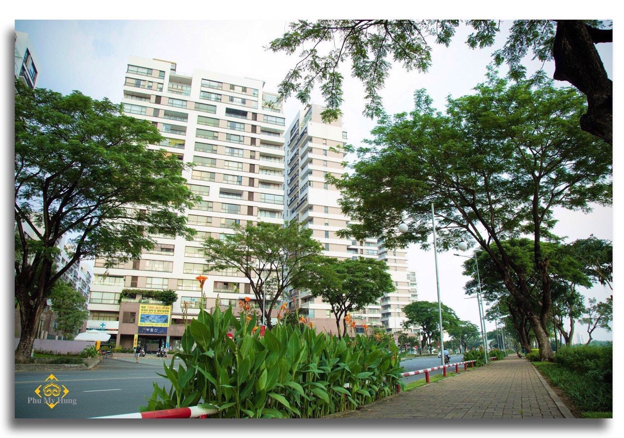 Panorama Luxury Apartment For Sale - Phu My Hung - District 7 2